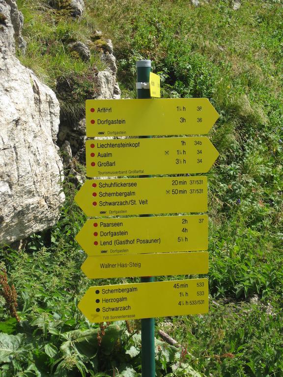 Bergparadies - Inklusive Eintritt In Die Alpentherme Дорфгаштайн Экстерьер фото