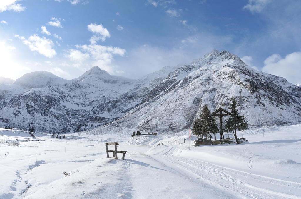 Bergparadies - Inklusive Eintritt In Die Alpentherme Дорфгаштайн Экстерьер фото